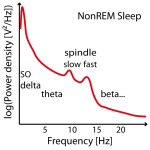 NonREM-power-spectral-density-example-01