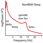 NonREM-power-spectrum-example - hidden slow peak-01