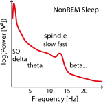 NonREM-power-spectrum-example - missing slow peak